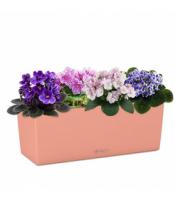 Композиция из фиалок в кашпо Lechuza Balconera Color 50